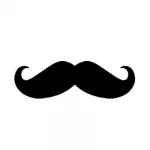 Mr.Play Casino logo