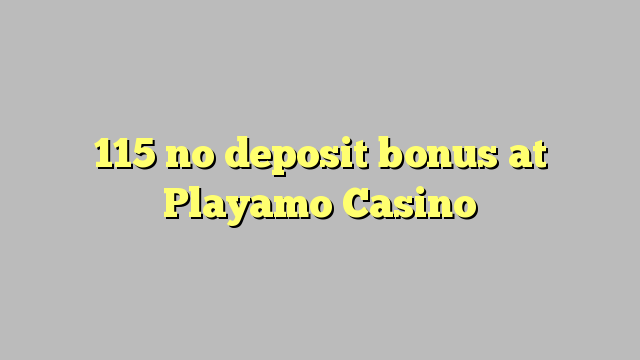 115 no deposit bonus at Playamo Casino