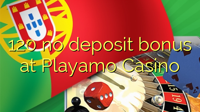 120 no deposit bonus at Playamo Casino