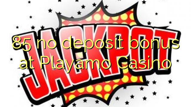 85 no deposit bonus at Playamo Casino