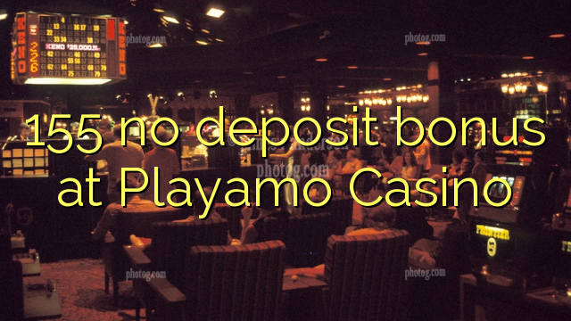 155 no deposit bonus at Playamo Casino