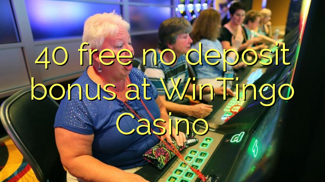 40 free no deposit bonus at WinTingo Casino