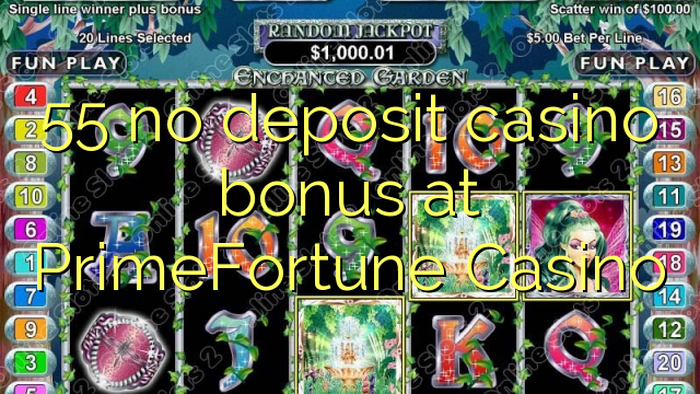 55 no deposit casino bonus at PrimeFortune Casino