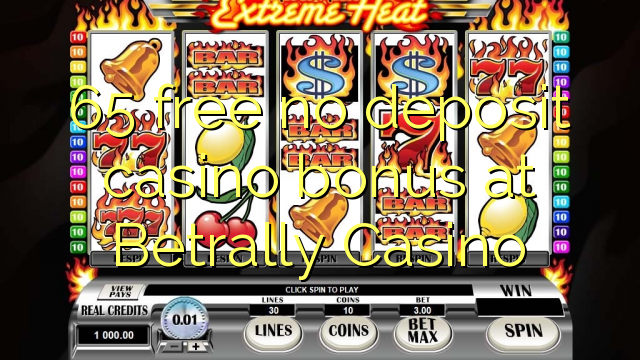 65 free no deposit casino bonus at Betrally Casino