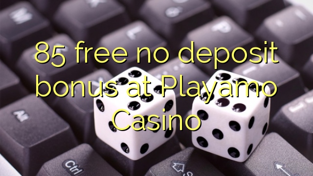 85 free no deposit bonus at Playamo Casino