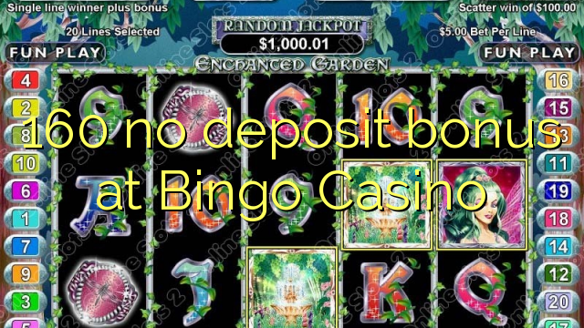 160 no deposit bonus at Bingo Casino