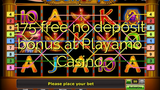 175 free no deposit bonus at Playamo Casino