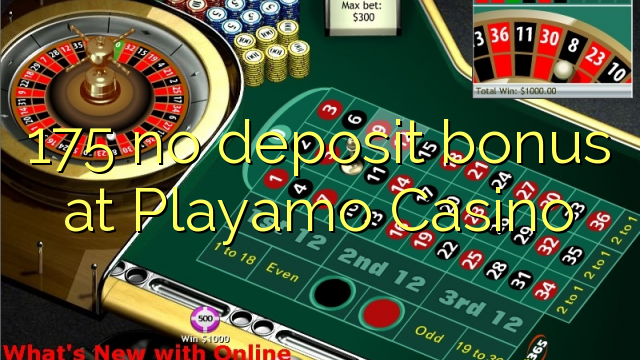 175 no deposit bonus at Playamo Casino