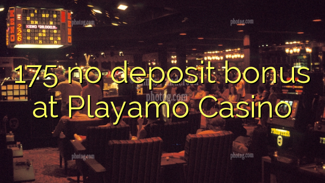 175 no deposit bonus at Playamo Casino