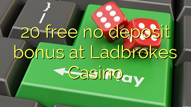 20 free no deposit bonus at Big Cash Casino