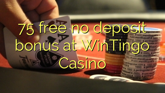 75 free no deposit bonus at WinTingo Casino