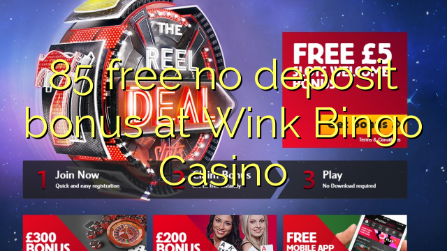 85 free no deposit bonus at Wink Bingo Casino