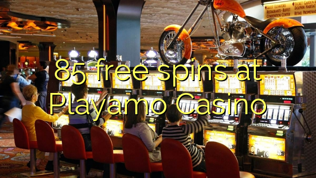 85 free spins at Playamo Casino