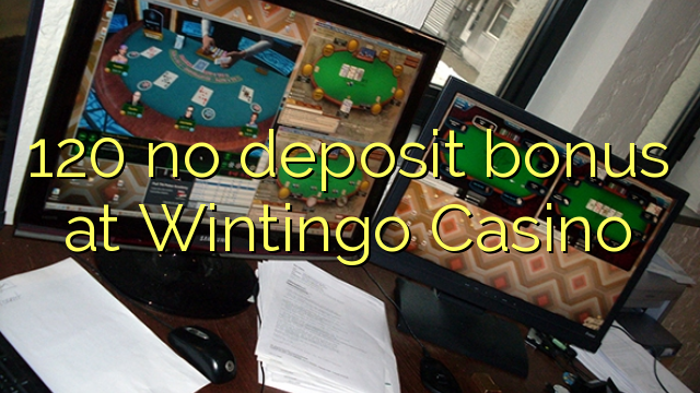 120 no deposit bonus at Wintingo Casino