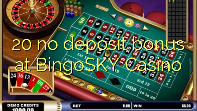 20 no deposit bonus at BingoSKY Casino