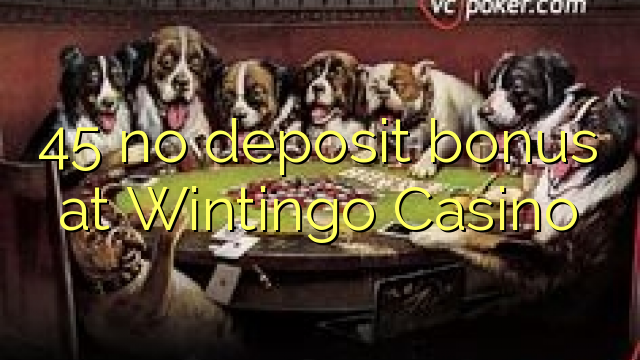 45 no deposit bonus at Wintingo Casino