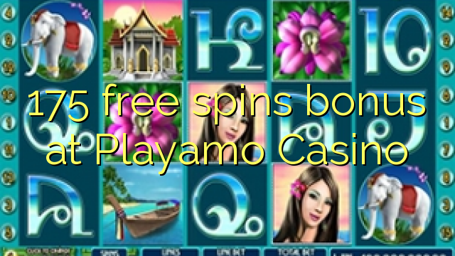 175 free spins bonus sa Playamo Casino