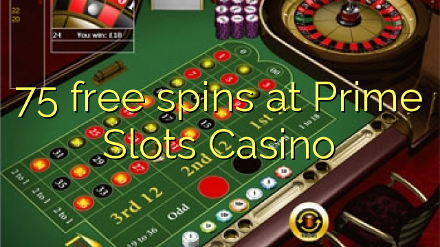 www casino slots free com