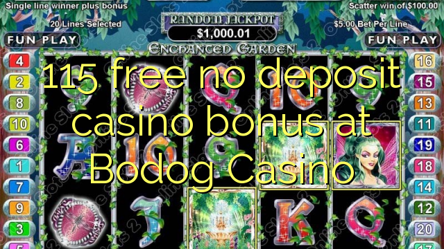 115 free no deposit casino bonus at Bodog Casino