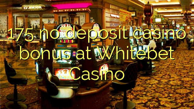 175 no deposit casino bonus at Whitebet Casino