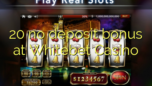 20 no deposit bonus at Whitebet Casino