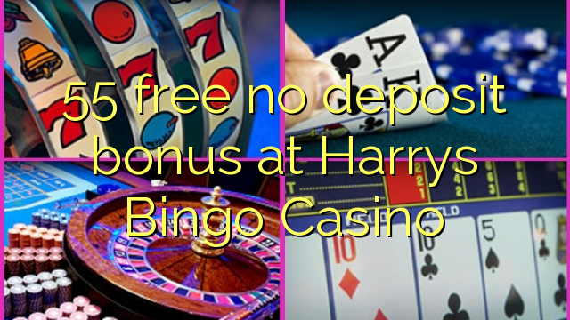 55 free no deposit bonus at Harrys Bingo Casino