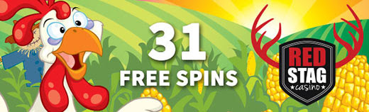 funkychicken11