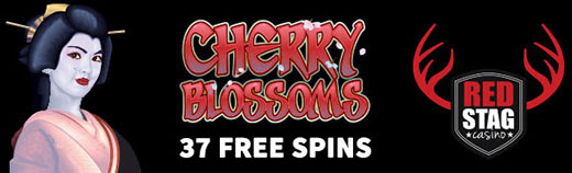cherrybbb