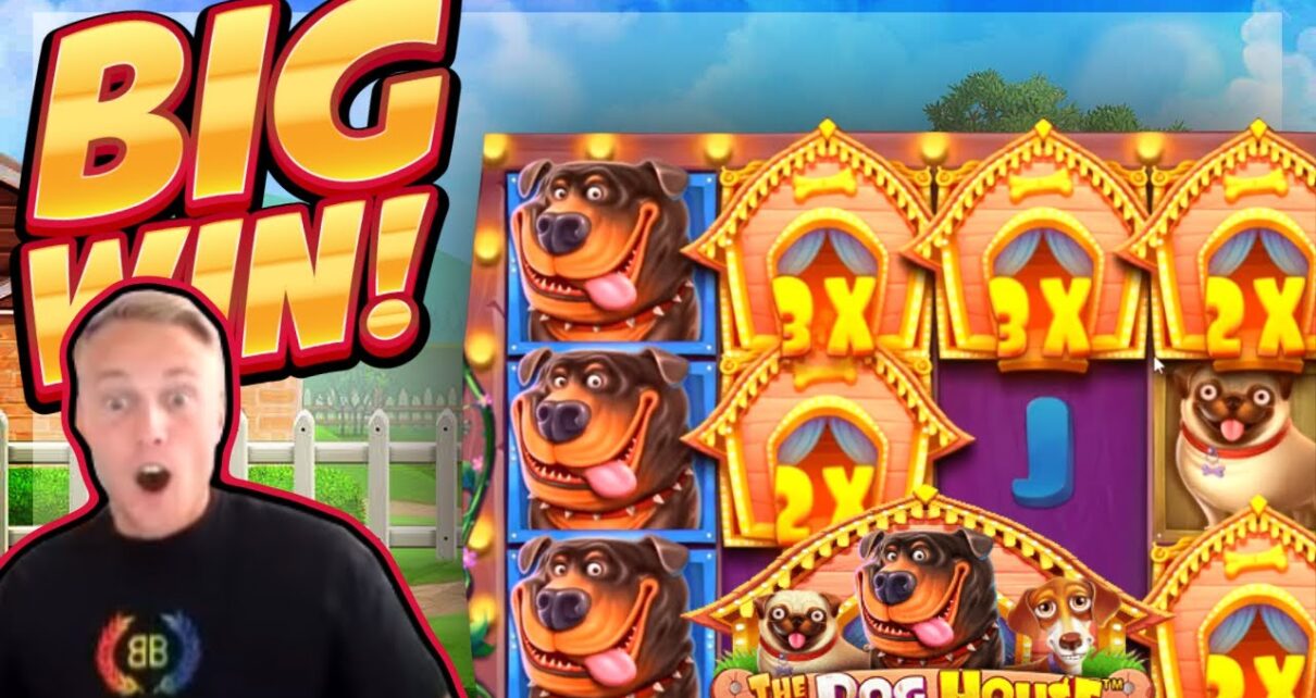 BIG WIN!!! Dog House BIG WIN!! Online Casino slot from CasinoDaddy Live Stream