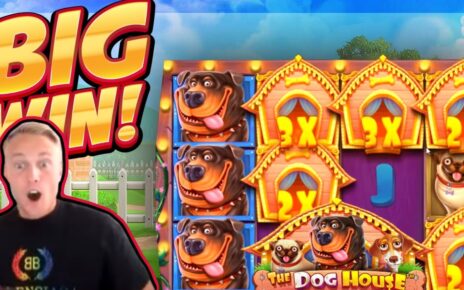 BIG WIN!!! Dog House BIG WIN!! Online Casino slot from CasinoDaddy Live Stream