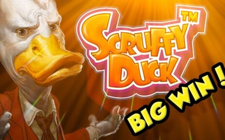 BIG WIN!!!! Scruffy Duck Big win – Casino – Bonus Round (Online Casino)