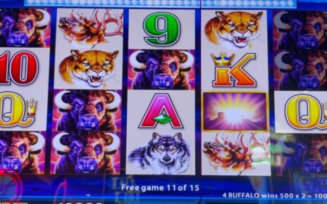 Big Wins on Buffalo Deluxe #slotman #casino #buffalo