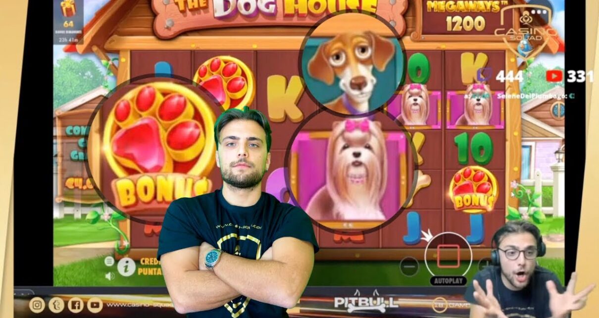 ? CASINO ONLINE: Pitbull TORNA a casa ??