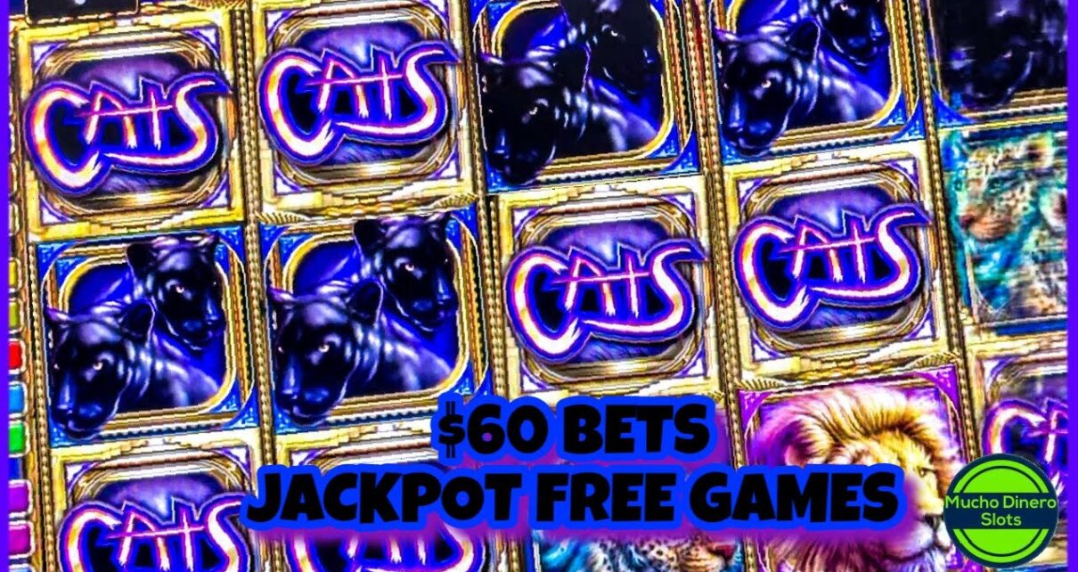 CATS SLOT MACHINE/ FIRST JACKPOT ON THIS GAME/ HIGH LIMIT/  BETS/ JACKPOT/ FREE GAMES