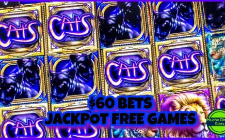 CATS SLOT MACHINE/ FIRST JACKPOT ON THIS GAME/ HIGH LIMIT/  BETS/ JACKPOT/ FREE GAMES