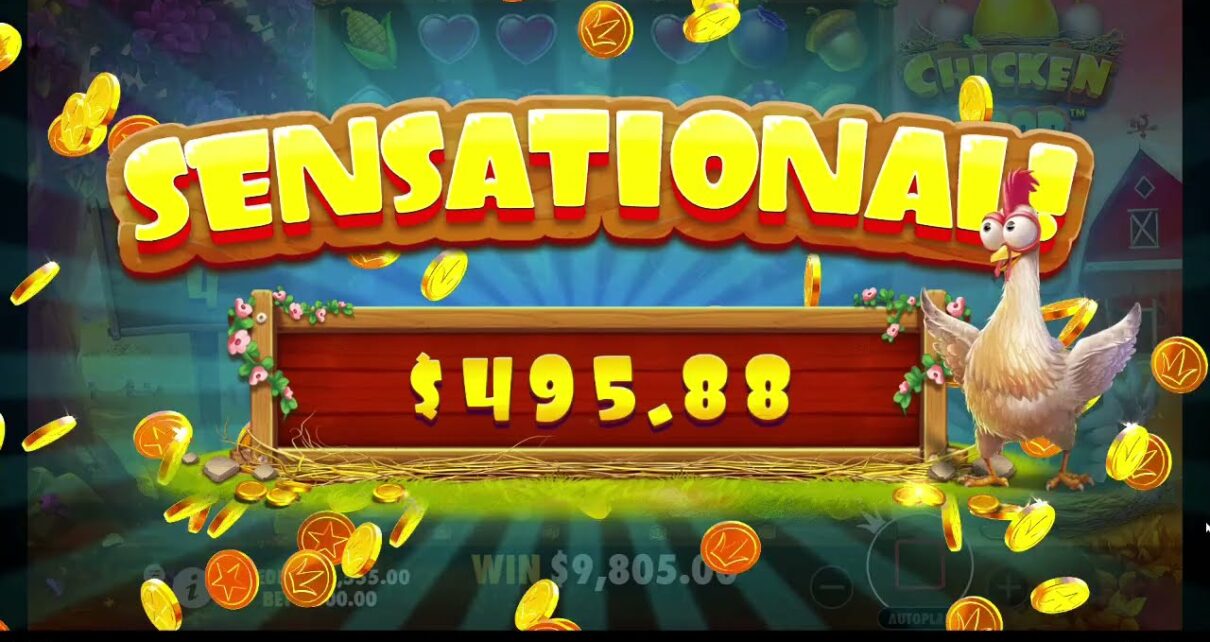 Chicken Drop big win slot Many Bonuses 1xbet Pragmatic online casino