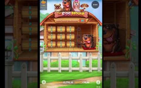 Massive Ultra Win? | The Dog House ? | Online Casino ?