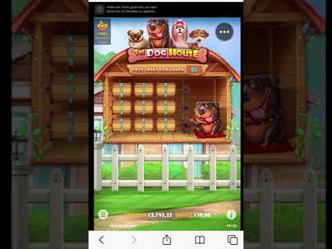 Massive Ultra Win? | The Dog House ? | Online Casino ?