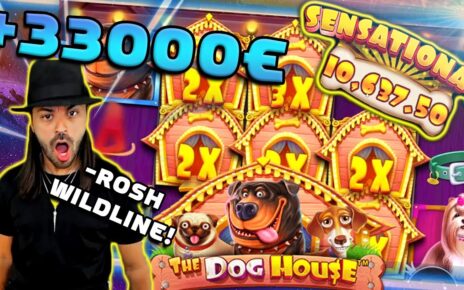 ROSHTEIN MAKE DOG HOUSE GREAT AGAIN! +33000€ BIG WIN | Online Casino Top 5 Wins of the Week