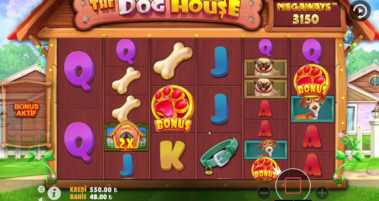 THE DOG HOUSE | 4800 DEN BÜYÜK VURGUN ÇARPANLAR YAĞMURU   :) !?!