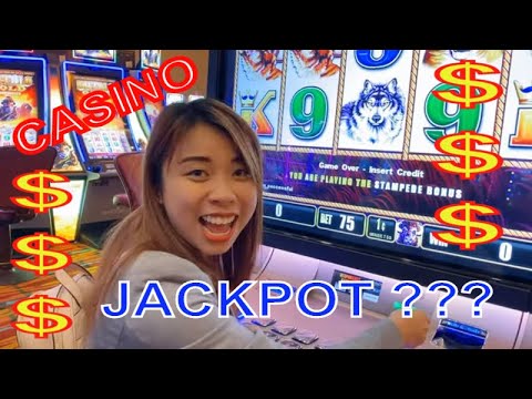 THUONG T T NGUYEN Vào CASINO Gặp Ông Chú VN THẦN TÀI Thắng Liên Tục | Choctaw (Tập 1) – ĐÁNH BÀI