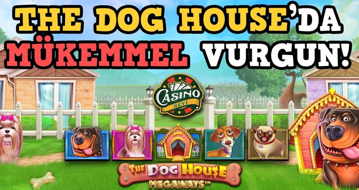 #TheDogHouse'da Efsane Kazanç! Casino Beyi #slot#casino #casinoslot#pragmatic#slotoyunları#casinoper