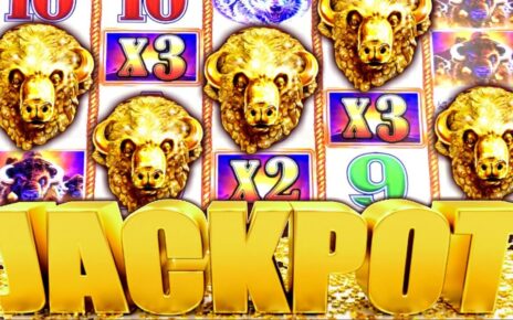 ★ MASSIVE JACKPOT! ★ MY BIGGEST HANDPAY BUFFALO GOLD | Slot Traveler