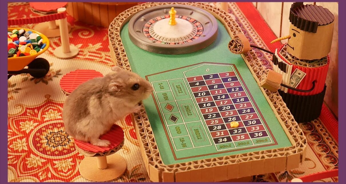 카지노에 간 햄스터 (Hamsters going to the Casino)