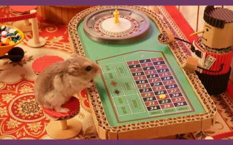 카지노에 간 햄스터 (Hamsters going to the Casino)