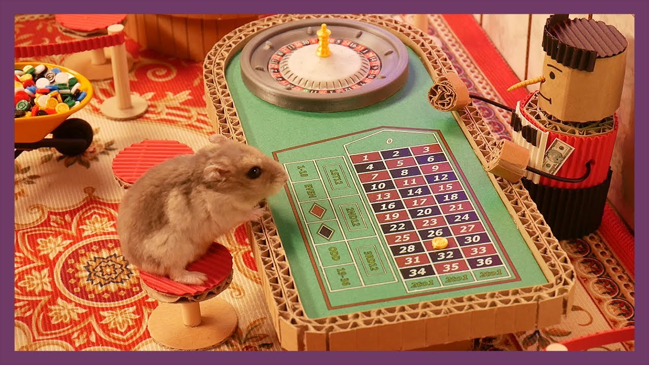 카지노에 간 햄스터 (Hamsters going to the Casino)