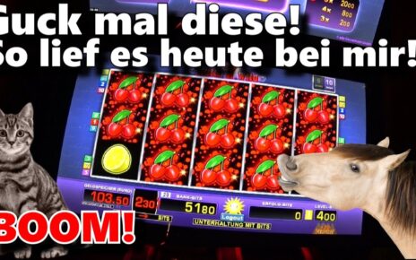 4 € fach Spielothek von Pferden ? & Katzen ? 2021 Merkur Novoline Spielautomaten Casino slots Bally