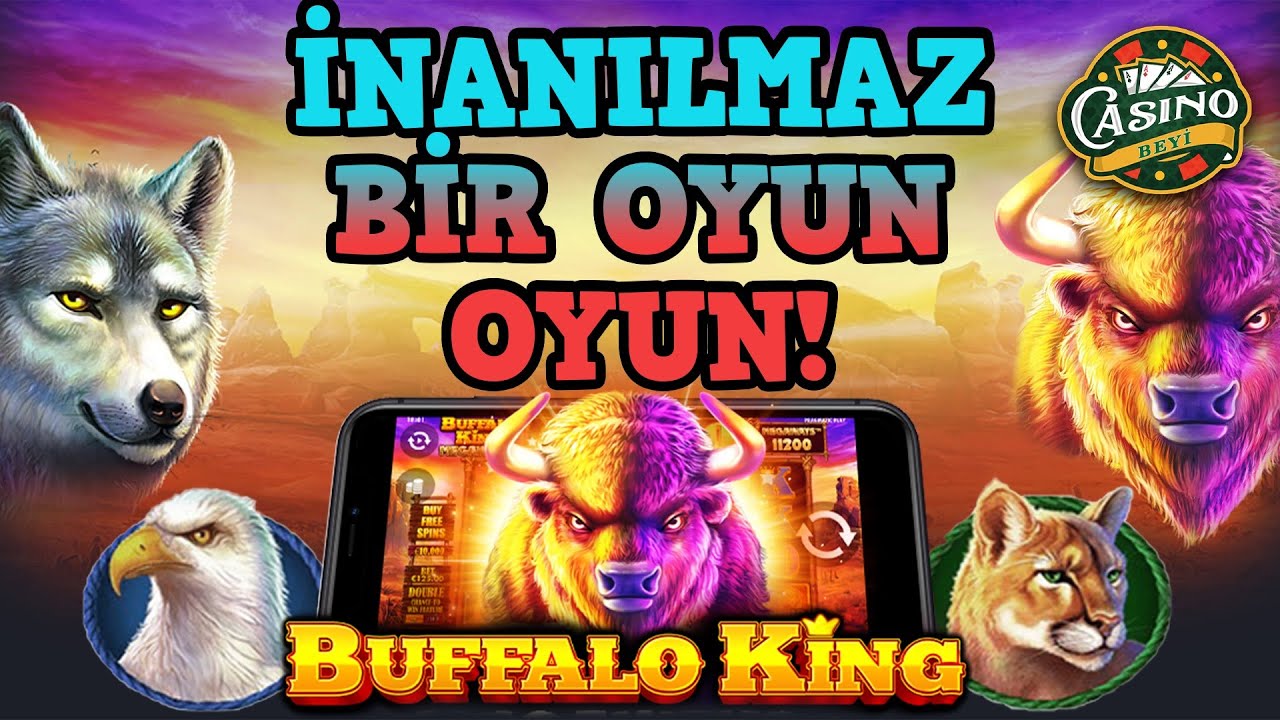 #BuffaloKing'de İnanılmaz Bir Oyun! - Casino Beyi #slot #casino #casinoslot #slotoyunları #pragmatic