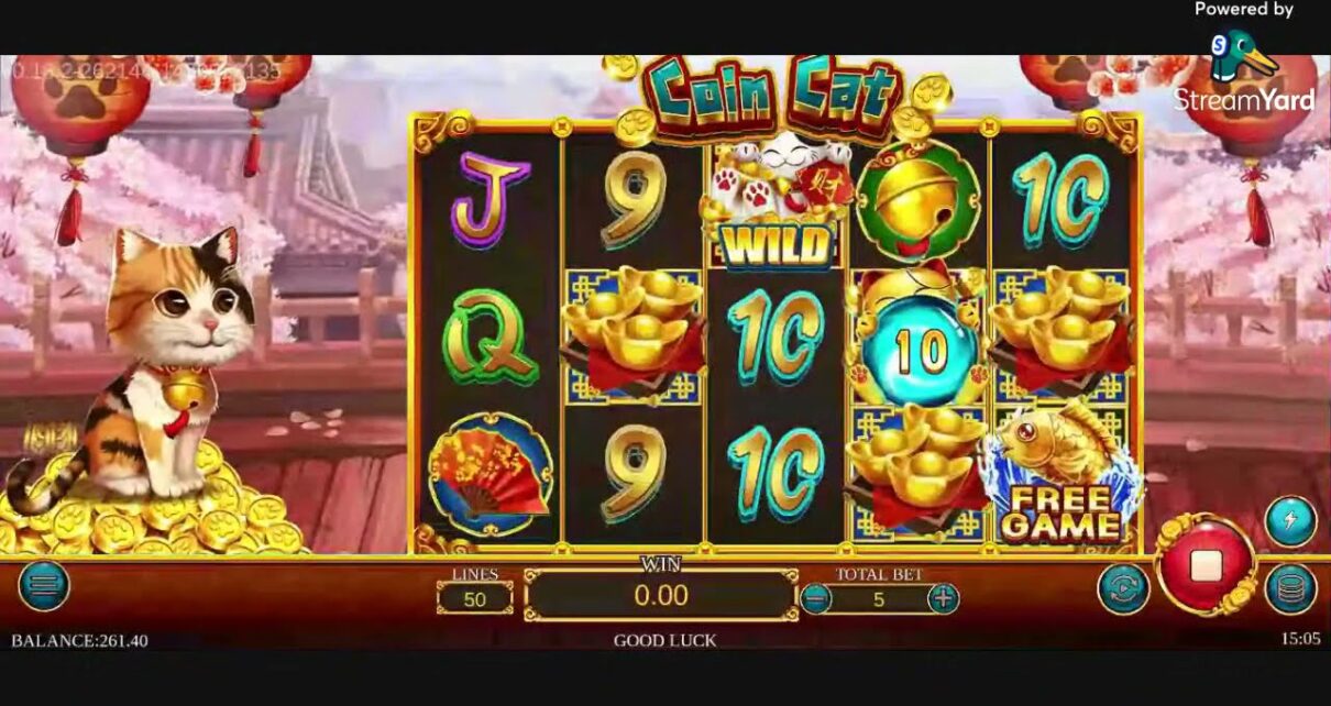 COIN CAT ONLINE CASINO GAMING