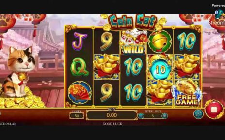 COIN CAT ONLINE CASINO GAMING